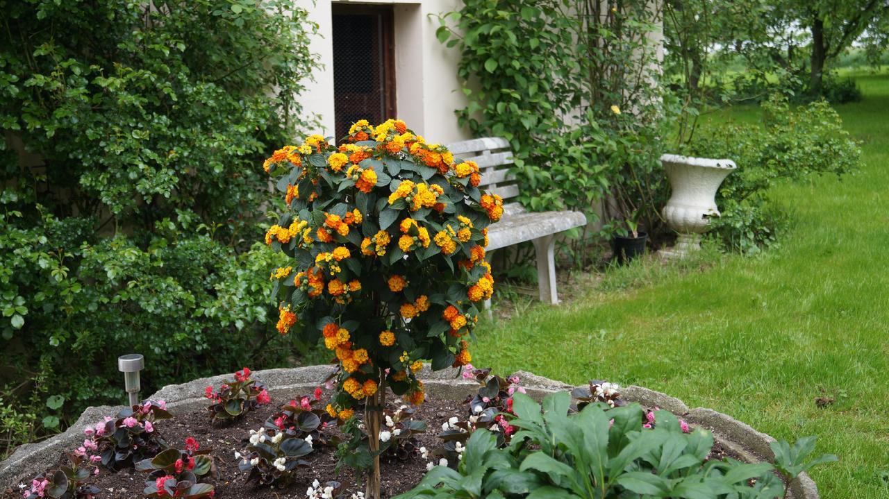 Richzenhainer-Hof Waldheim Extérieur photo